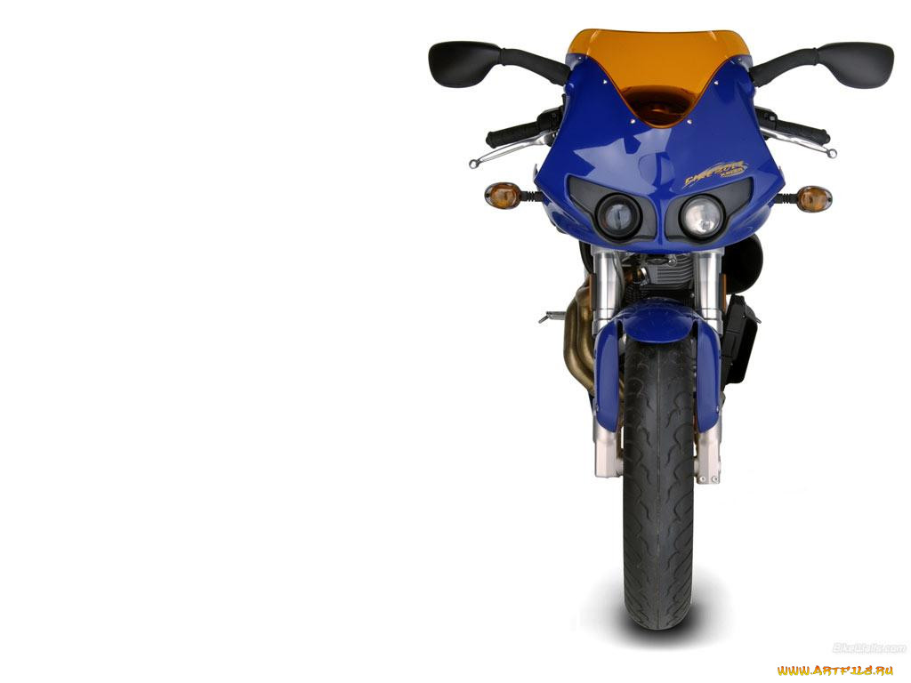 , buell